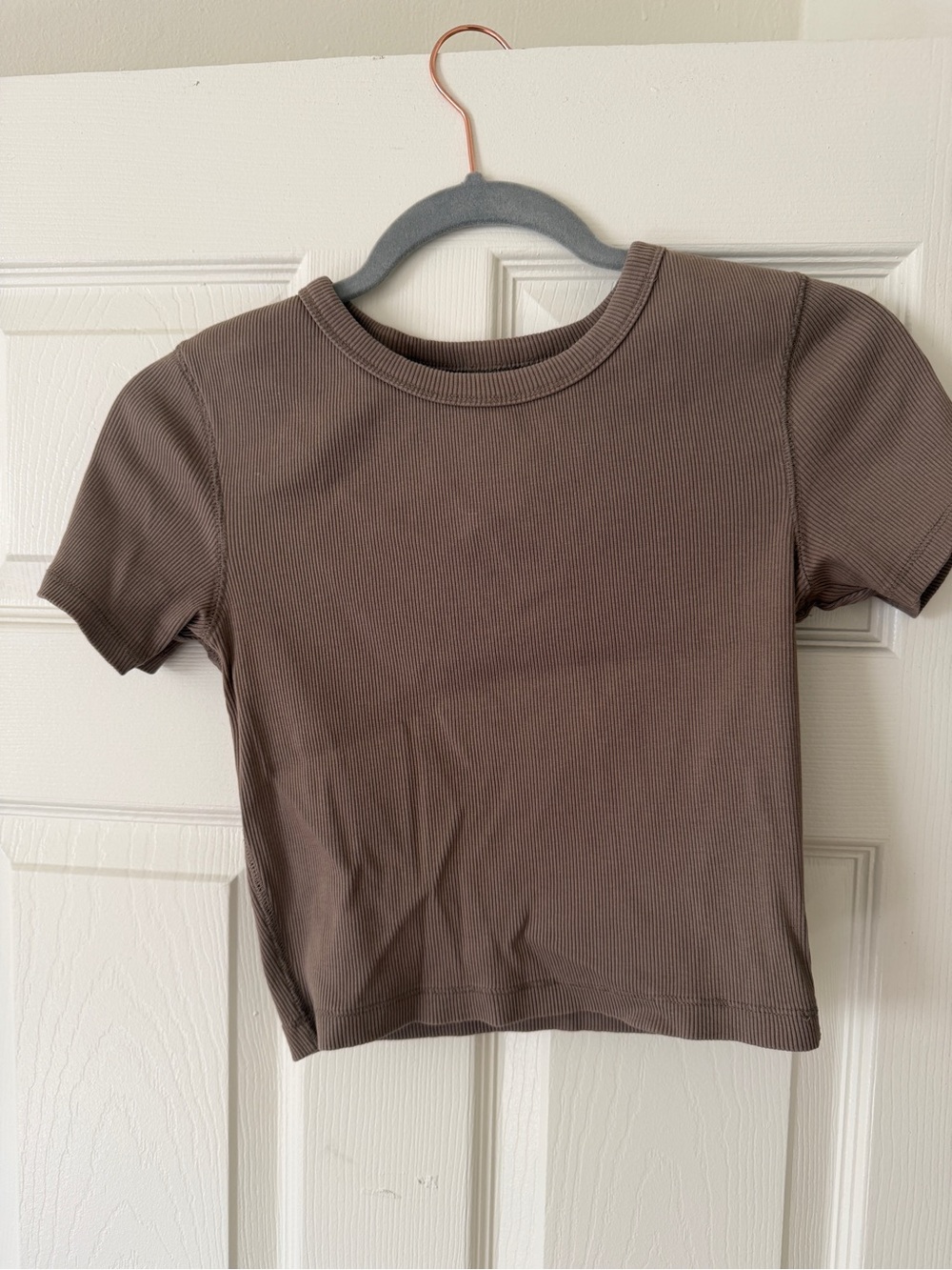Everlane Cropped Short Sleeve Ribbed Tee - Taupe Brown- Organic Cotton